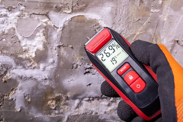 Best Kitchen Mold Remediation in Anna, IL